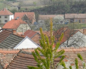 Cejk_1_smer_Vcelin_Zoom.jpg
