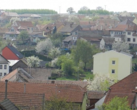 Cejk_1_smer_Zahradni.jpg
