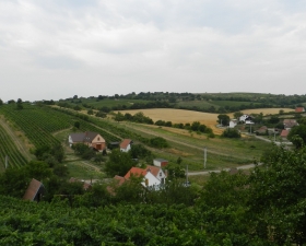 gallery-image