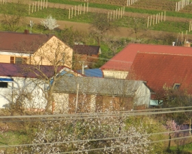 Stary_Poddvorov-2_pohled_smer_Pod_Fotbalovym_hristem3.JPG