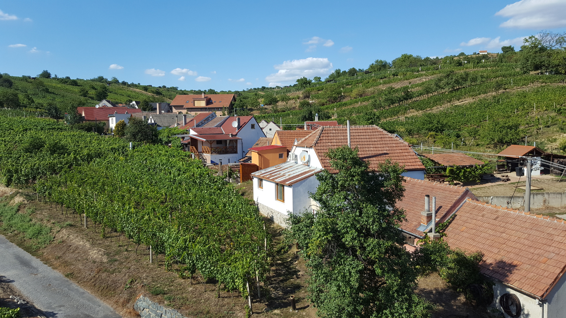 Mutěnice 5